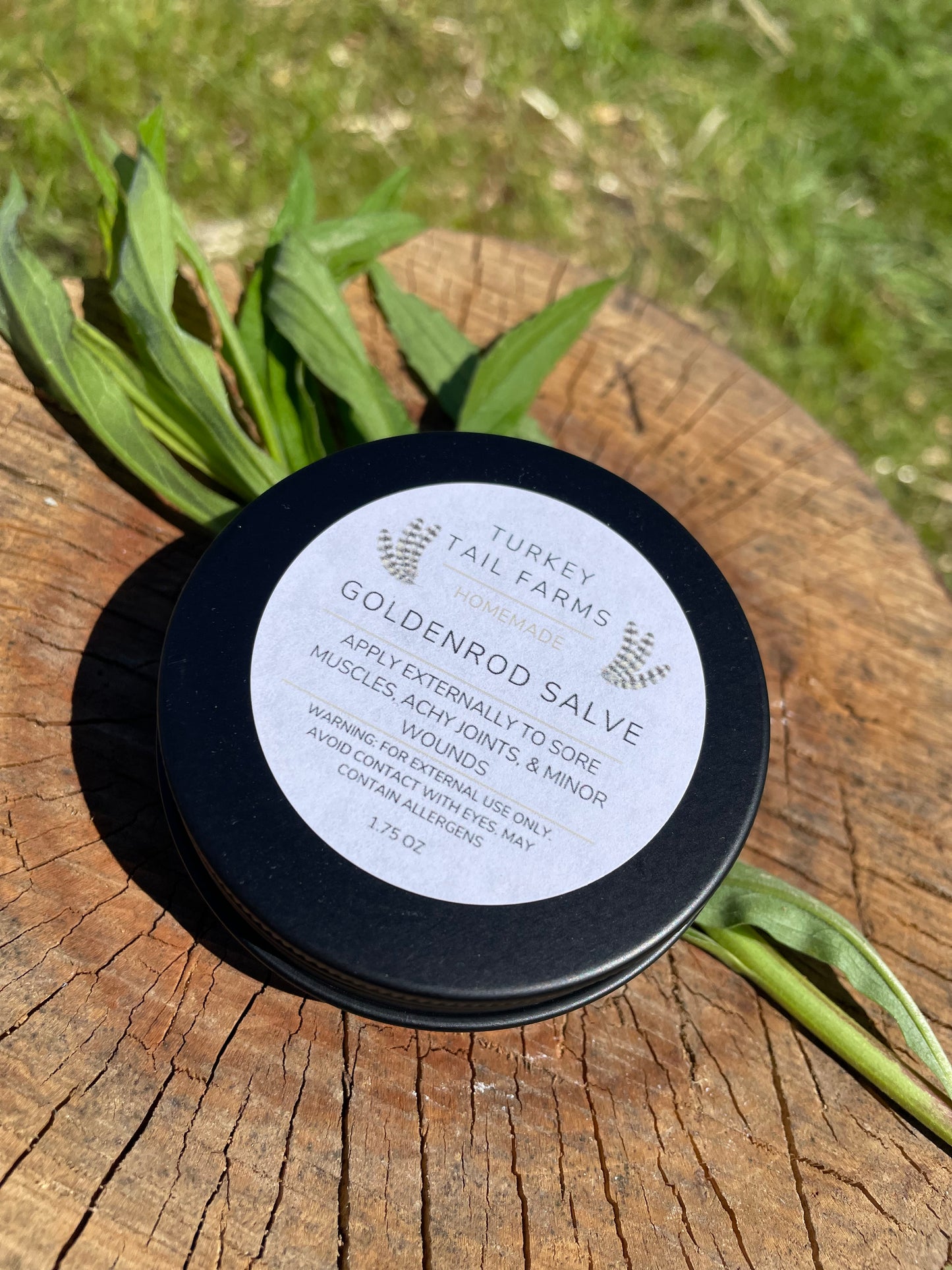 Goldenrod Salve