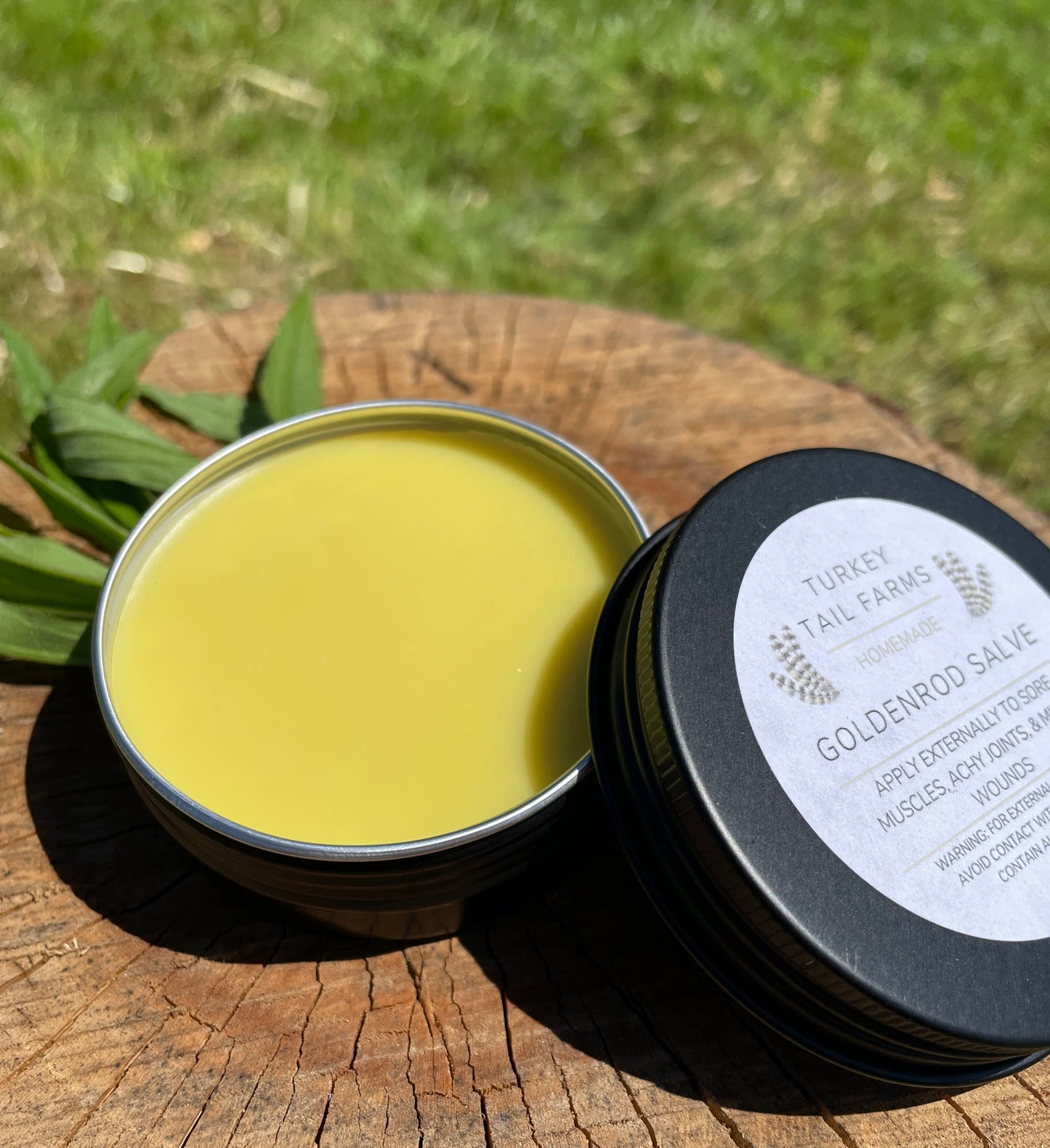 Goldenrod Salve