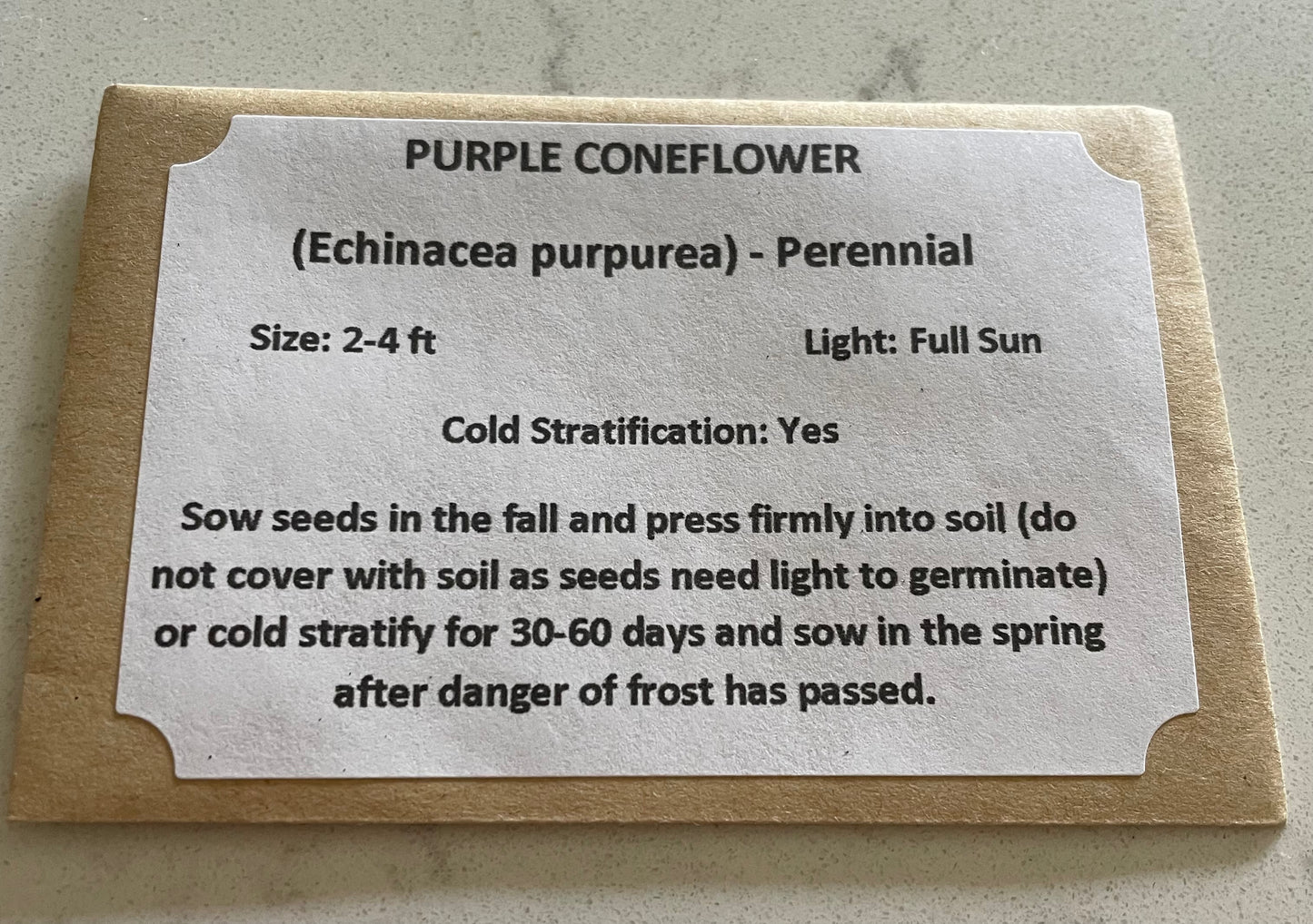 Purple Coneflower Seeds
