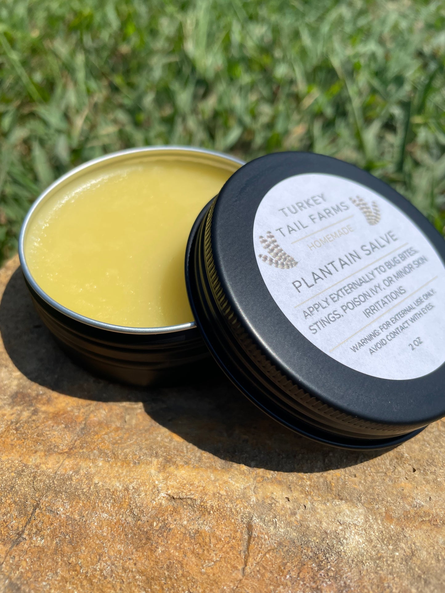 Plantain Salve