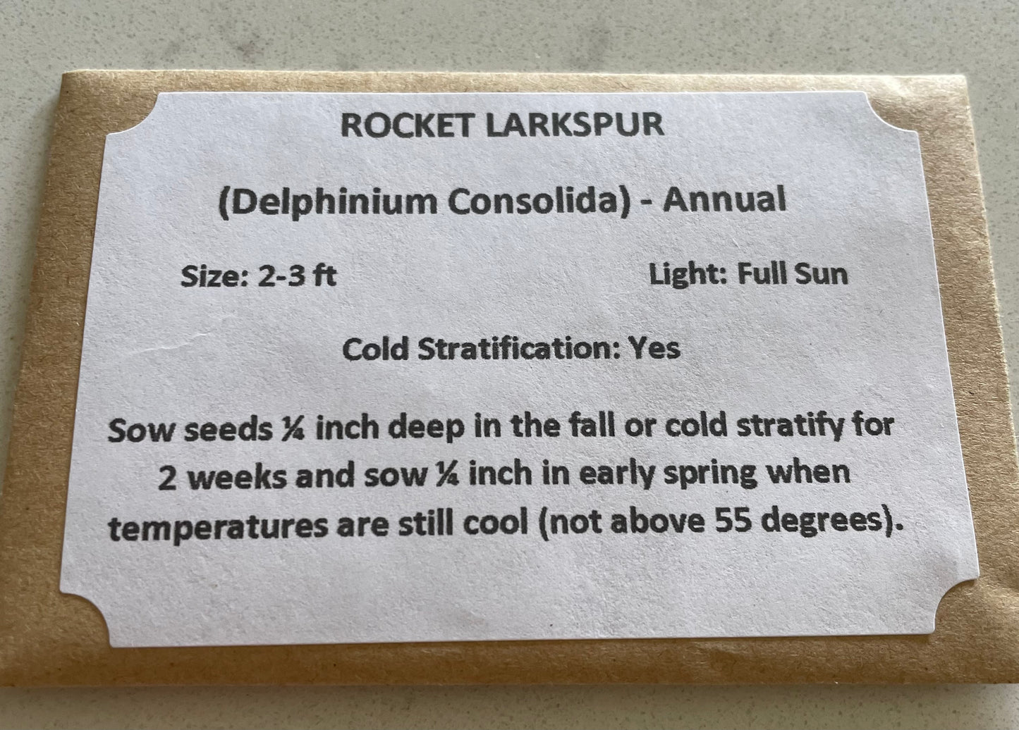 Rocket Larkspur Seeds