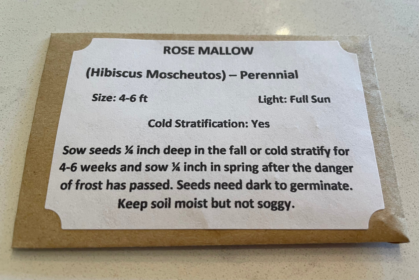 Common Rose Mallow Seeds