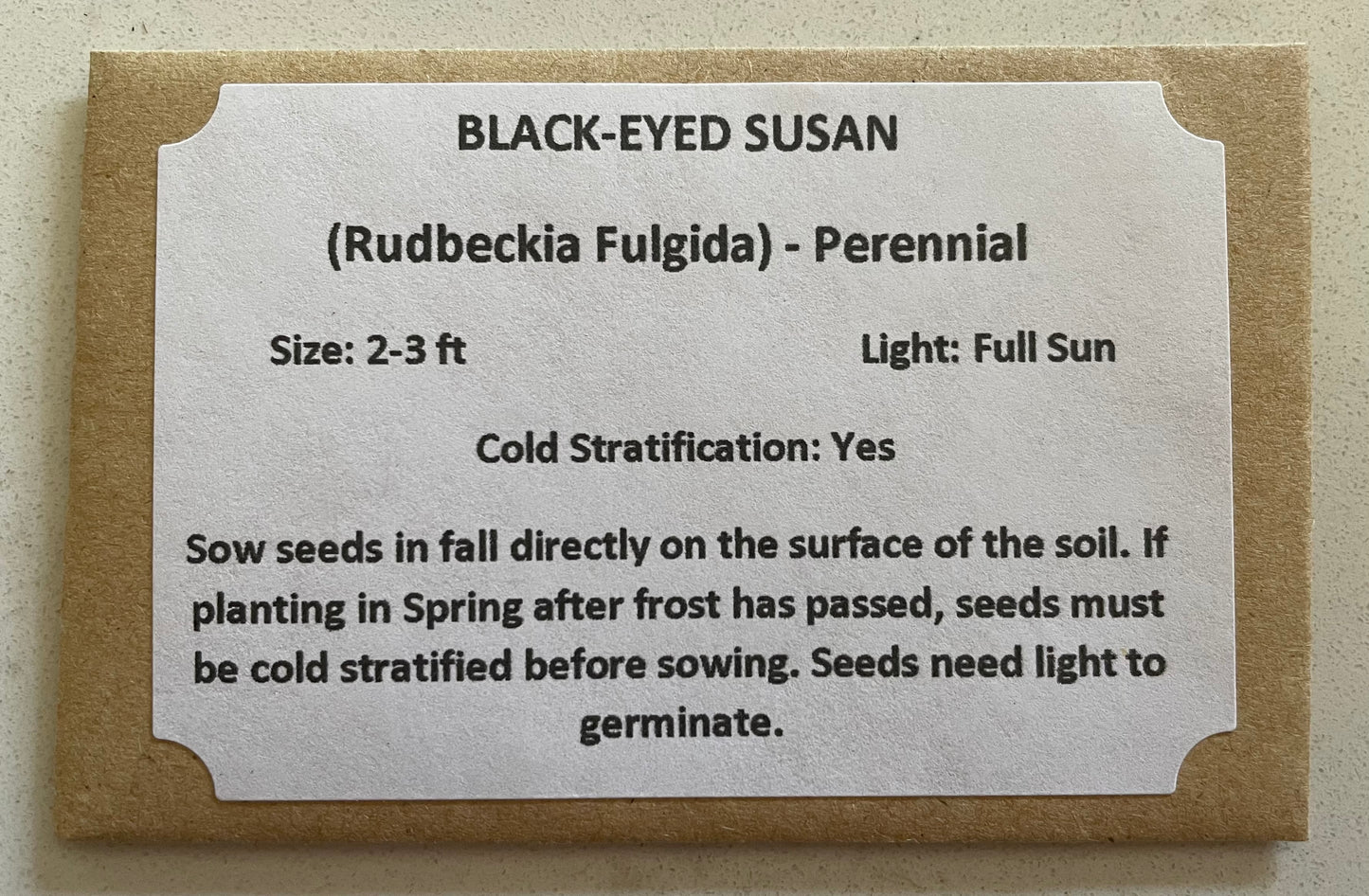 Black-Eyed Susan Seeds